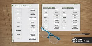 Photosynthesis Match and Draw Activity