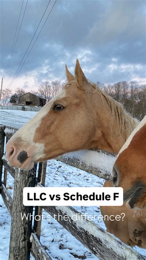 📊 Schedule F vs. LLC — What’s the Difference (and Why It Matters for Farmers) If you’re still filing under a Schedule F, you might be missing out on serious protection and deductions that could save you thousands every year. 👉 Schedule F means you’re a sole proprietor. You can write off standard farm expenses — feed, fuel, vet bills, equipment — but here’s the catch: • No liability protection. If something happens on the farm, your personal assets are exposed. • Limited deductions — no advance