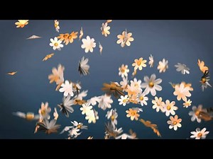 Flowers Background Loop Motion Graphics - Animated Background, Copyright Free