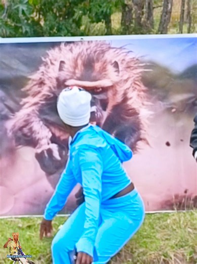 Fake Baboon Prank: A Hilarious Kenyan Trouble!