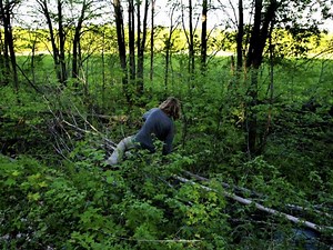 Complicated Rules For Foraging Aren't Helping Our National Parks