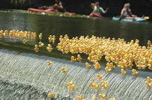 HPLC: Ascorbic Acid Quantification