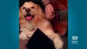 41K views · 1K reactions | Wake up people! It's time for some cowbell! | iHeartRadio | Facebook