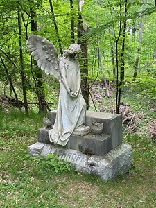 Understanding Perpetual Care - Albany Rural Cemetery Capital Region's Finest Cemetery located in Albany, NY
