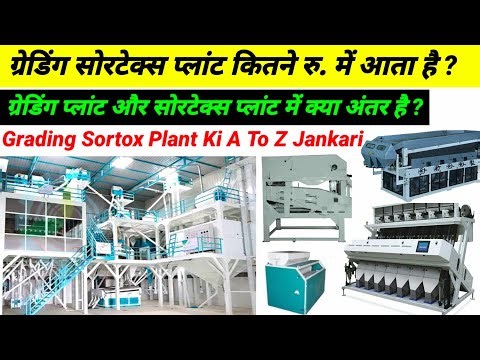 Sortex Plant | Grading Plant | Grading Sortex Plant | Seed Grading Plant | Sortex Plant Price