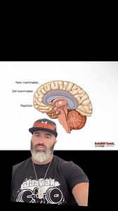 86 reactions | The TRIUNE BRAIN THEORY: The Reptilian Brain: This...