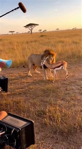 Behind the scenes of national geographic