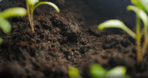 Seed Treatment Solutions - Concept AgriTek
