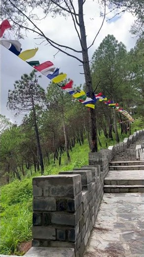Best Hiking Trail in Kathmandu #hindisong #music #nature #nepal #champadevi #kathmandu #hiking #fyp