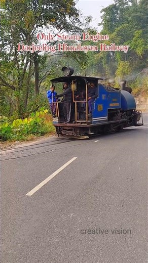 Only Steam Engine Road Level Crossing At Sukna Forest #steamengine #toy #train #indian #railway #dhr