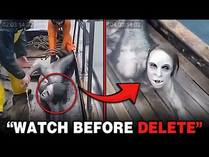 Unbelievable Mermaid Encounters Deep in the Ocean Caught on Camera! That Scientists Can’t Explain