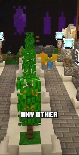 The Biggest Base in #2b2t History