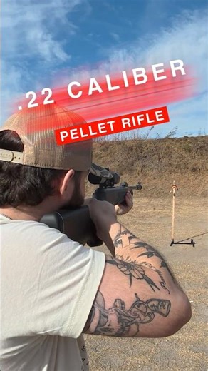 Ruger U-Force 22 Caliber Pellet Rifle