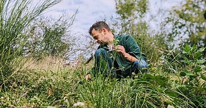 On a rencontré le « dealer » de plantes sauvages qui fournit les meilleurs chefs français