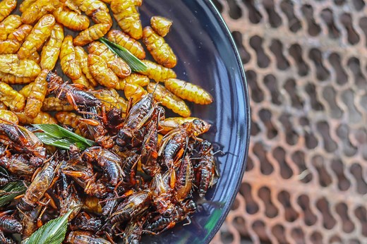 Edible Insects as Food: Nutritional Benefits, Safety, and Environmental Impact