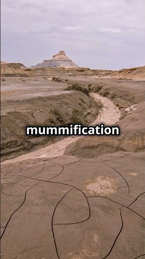 Unveiling the Secrets: The Chilling Mummies of Guanajuato!