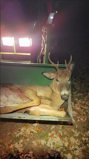 First Buck with a Crossbow, Tenpoint Turbo S1