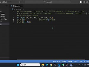 python入门 06-bytes
