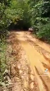 #Gabon : les routes de l'impossible 🇬🇦 #LPJG | Le Petit Journal Gabonais_LPJG