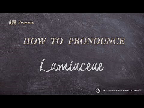 How to Pronounce Lamiaceae (Real Life Examples!)