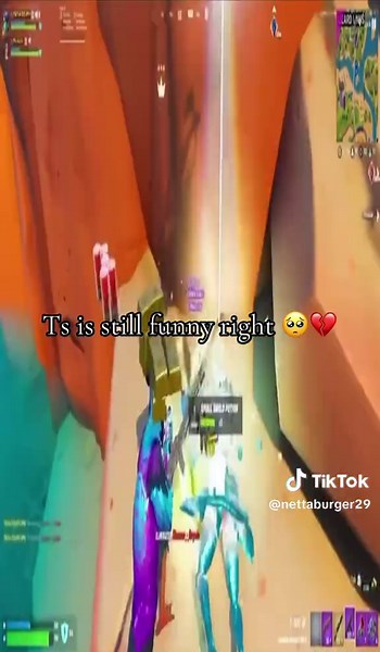 Hilarious Bird Memes That Will Make You Laugh Out Loud