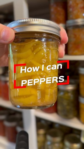 2.3K views · 241 reactions | A few different ways to can peppers! #homestead #howto #canpeppers #peppers #preserving #preservingfood #canning #food #foodstorage #harvest | Kayla Gabbard | Facebook