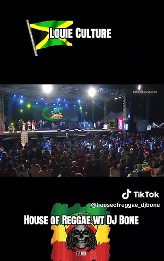 Louie Culture Live Performance Highlights at Rebel Salute 2019