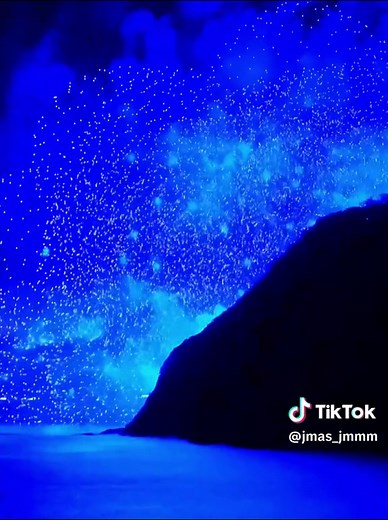 Deep Blue Shades and Vibe: Exploring the Beauty of Blue