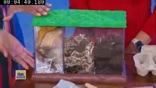 Composting 101