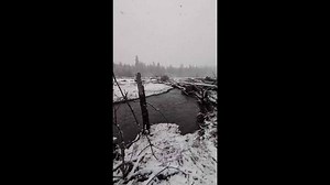 Light snowfall creates calm winter scene in Ashford, Washington, USA
