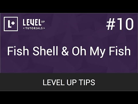 #10 - Fish Shell & Oh My Fish