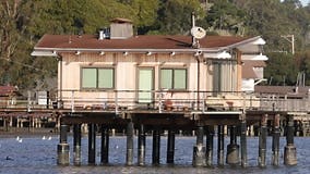 Small Raised House on Stilts Above Water Line in Coastal California Stock Video - Video of stay, inverness: 272593397