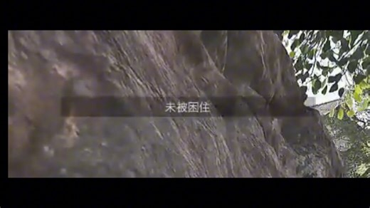 农场最绝望的死法