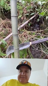 Este anciano con los palos del banbu fabrica diferentes artesanias para su propio sustento #banbu | olmedo el sultan