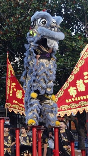 2026 World Dragon and Lion Dance Extravaganza USA San Francisco