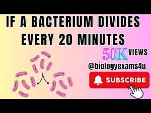 If a bacterium divides every 20 minutes -Formula | 🦠Microbiology ‪@biologyexams4u‬