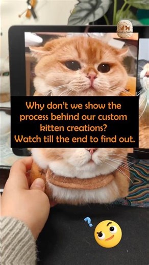 See how we turn photos into adorable custom kittens! Watch the full process till the end!