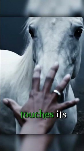 How to Survive a Kelpie Attack (A Warning)