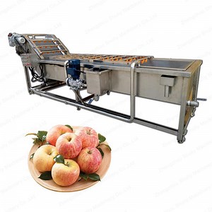 [Hot Item] Ozone Generator Water Food Fruit and Vegetable Cleaning Machine