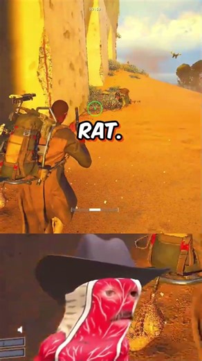 The Exterminator is here ! Rat control 🎯🐀