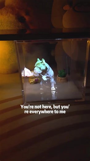 Create a Lasting Pet Memorial with Holograms