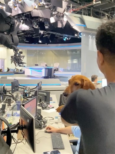 155K views · 1.7K reactions | Malcom on Reels | Facebook