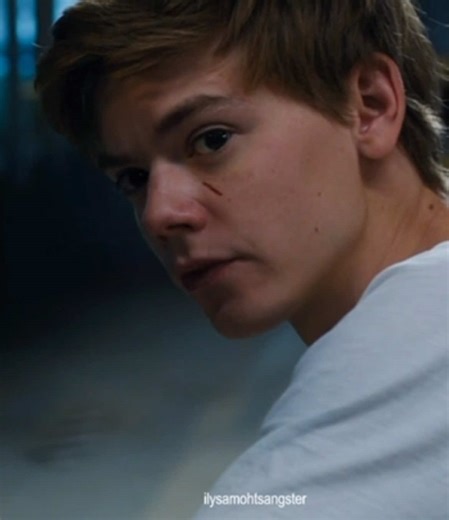 Tudo sobre Newt em Maze Runner