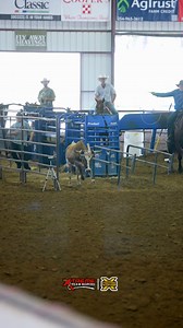 “Stephenville Shootout” presented by: X-Treme Team Roping 🤠 Open Pendleton Round 3: Ketch Kelton & Wesley Thorp ⏱️ 6.42 seconds Watch Live: xftr.net/ss25 Run Delivery: XFRundelivery.com *Top 15 in the average advance to rope in the PRCA rodeo performance | X Factor Roping