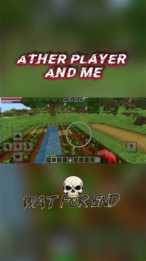 minecraft ather player and speed runner