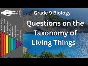 Questions on the Taxonomy of Living Things and Taxonomic Hierarchies (Grade 9 Biology)