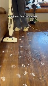 This Steam Mop Does EVERYTHING! 🧼⚡