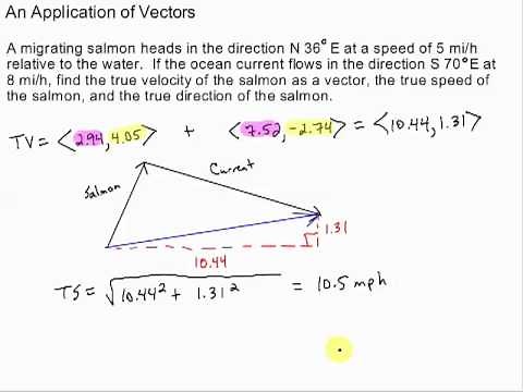 vector application - true velocity