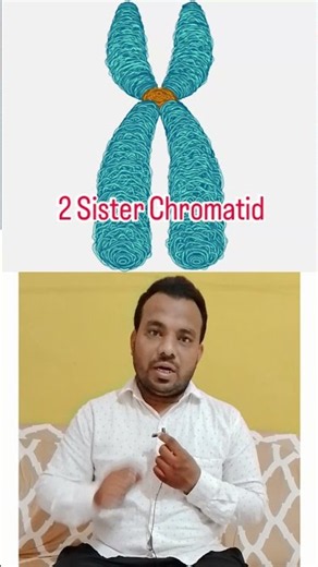 Misconception About Chromosome and Chromatid #biology #neet #education