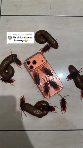 Replying to @ᯓ𓇼 casingnya orang sanggup😏 #iphone17promax #poop #prank #uglycase #fyp